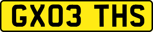 GX03THS