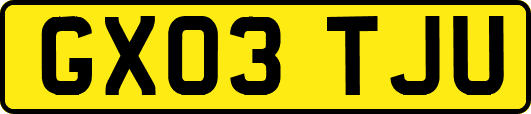 GX03TJU