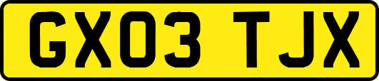 GX03TJX