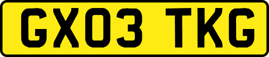 GX03TKG