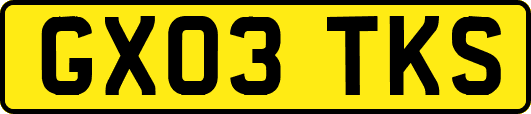 GX03TKS