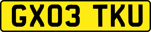 GX03TKU