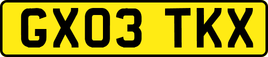 GX03TKX