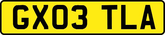 GX03TLA
