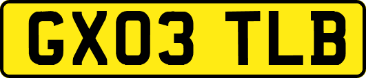 GX03TLB