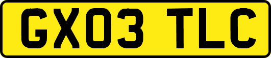 GX03TLC