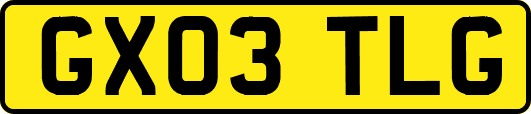 GX03TLG