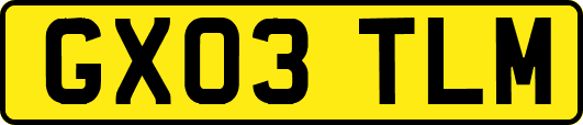 GX03TLM