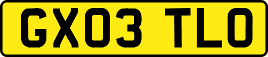 GX03TLO