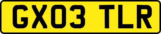 GX03TLR
