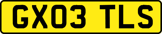 GX03TLS