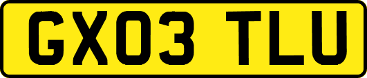 GX03TLU