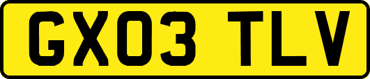 GX03TLV
