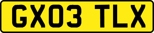 GX03TLX