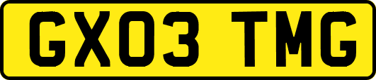 GX03TMG