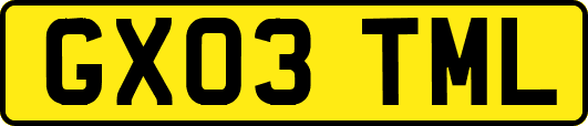 GX03TML