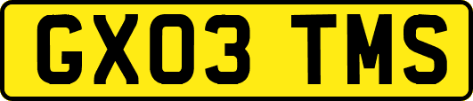 GX03TMS