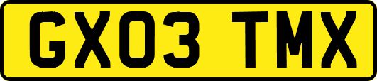 GX03TMX