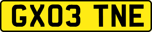 GX03TNE