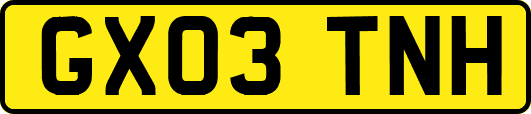 GX03TNH