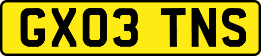 GX03TNS