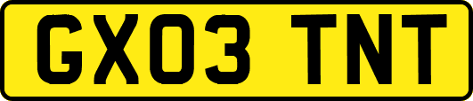 GX03TNT