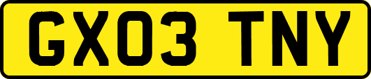 GX03TNY