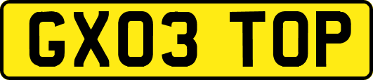 GX03TOP