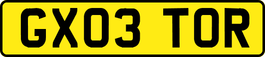 GX03TOR