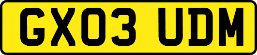 GX03UDM