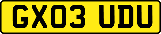 GX03UDU