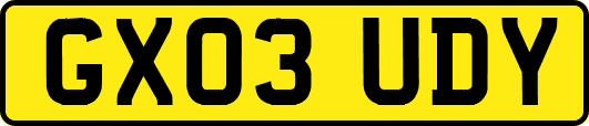 GX03UDY