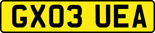 GX03UEA