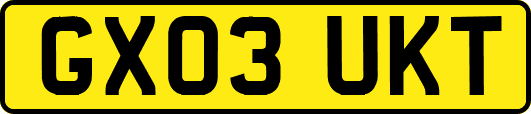 GX03UKT