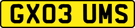 GX03UMS