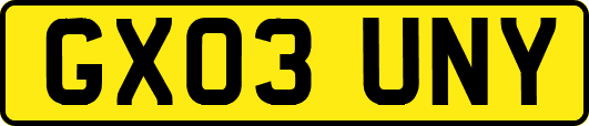 GX03UNY