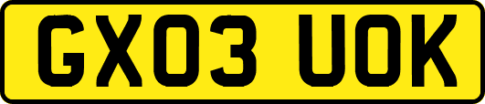 GX03UOK