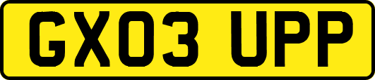 GX03UPP