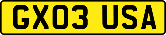 GX03USA