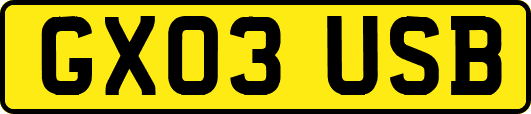 GX03USB