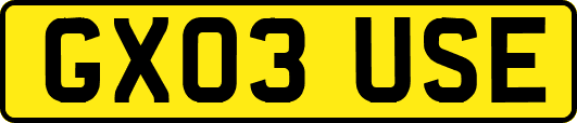 GX03USE