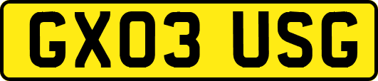 GX03USG