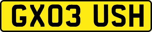 GX03USH