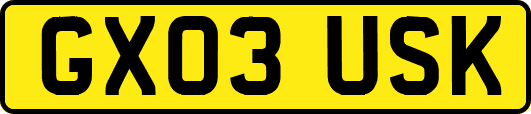 GX03USK
