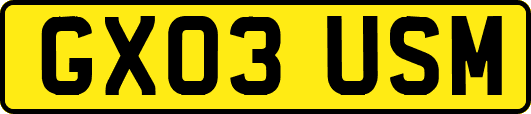 GX03USM