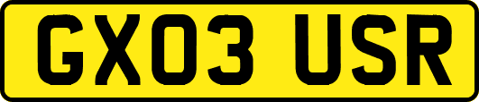 GX03USR