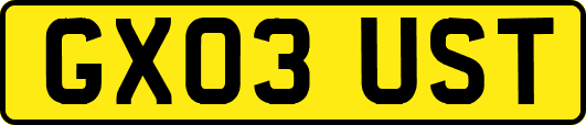 GX03UST