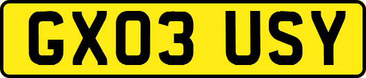 GX03USY