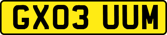GX03UUM