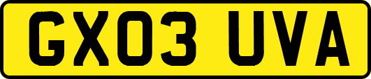 GX03UVA